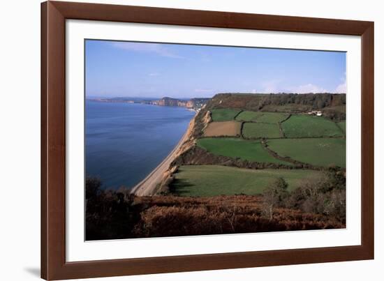 East Devon Coast Path, Near Sidmouth, Devon, England, United Kingdom-Cyndy Black-Framed Photographic Print