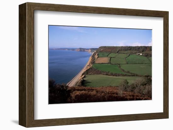 East Devon Coast Path, Near Sidmouth, Devon, England, United Kingdom-Cyndy Black-Framed Photographic Print