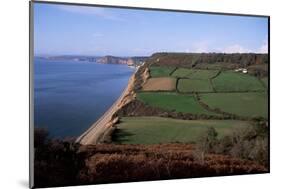 East Devon Coast Path, Near Sidmouth, Devon, England, United Kingdom-Cyndy Black-Mounted Photographic Print