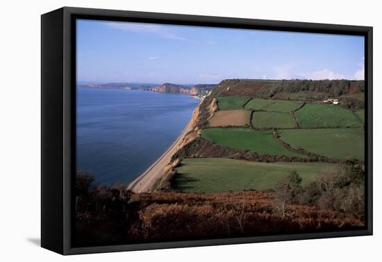 East Devon Coast Path, Near Sidmouth, Devon, England, United Kingdom-Cyndy Black-Framed Stretched Canvas