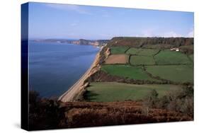 East Devon Coast Path, Near Sidmouth, Devon, England, United Kingdom-Cyndy Black-Stretched Canvas