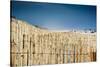 East End Long Island Beach with Fences-null-Stretched Canvas