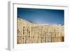 East End Long Island Beach with Fences-null-Framed Photo