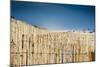 East End Long Island Beach with Fences-null-Mounted Photo