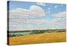 East Fife Landscape, 2006-Peter Breeden-Stretched Canvas