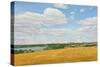 East Fife Landscape, 2006-Peter Breeden-Stretched Canvas