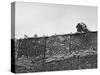 East German's Hand Reaching Over Glass Shards Embedded in Top of the Newly Constructed Berlin Wall-Paul Schutzer-Stretched Canvas