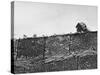 East German's Hand Reaching Over Glass Shards Embedded in Top of the Newly Constructed Berlin Wall-Paul Schutzer-Stretched Canvas