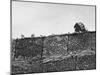 East German's Hand Reaching Over Glass Shards Embedded in Top of the Newly Constructed Berlin Wall-Paul Schutzer-Mounted Premium Photographic Print