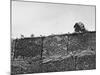 East German's Hand Reaching Over Glass Shards Embedded in Top of the Newly Constructed Berlin Wall-Paul Schutzer-Mounted Photographic Print