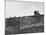 East German's Hand Reaching Over Glass Shards Embedded in Top of the Newly Constructed Berlin Wall-Paul Schutzer-Mounted Photographic Print