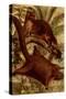 East Indian Flying Squirrel-F.W. Kuhnert-Stretched Canvas