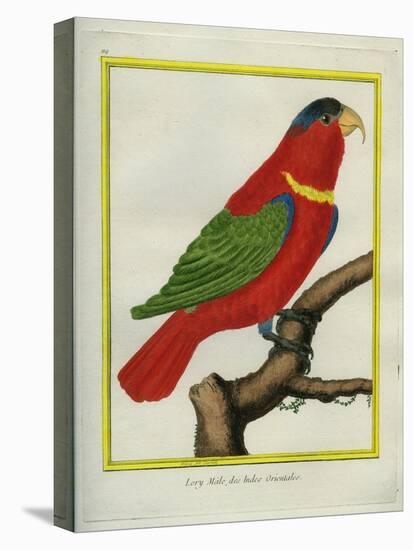 East Indian Lorikeet, Male-Georges-Louis Buffon-Stretched Canvas