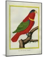 East Indian Lorikeet, Male-Georges-Louis Buffon-Mounted Giclee Print