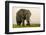 East Kenya, Amboseli National Park, Elephant (Loxodanta Africana)-Alison Jones-Framed Photographic Print