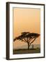 East Kenya, Amboseli NP, Sunset, Acacia Tree with Weaver Nests-Alison Jones-Framed Photographic Print