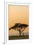 East Kenya, Amboseli NP, Sunset, Acacia Tree with Weaver Nests-Alison Jones-Framed Photographic Print