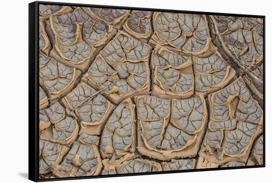 East Kenya, Nairobi, Langata, Hog Ranch, Cracked, Dry Earth-Alison Jones-Framed Stretched Canvas