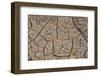 East Kenya, Nairobi, Langata, Hog Ranch, Cracked, Dry Earth-Alison Jones-Framed Photographic Print