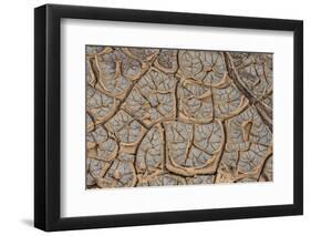 East Kenya, Nairobi, Langata, Hog Ranch, Cracked, Dry Earth-Alison Jones-Framed Photographic Print