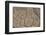 East Kenya, Nairobi, Langata, Hog Ranch, Cracked, Dry Earth-Alison Jones-Framed Photographic Print