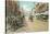 East Main Street, Charlottesville, Virginia-null-Stretched Canvas