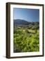 East, Majorca, the Balearic Islands, Spain-Rainer Mirau-Framed Photographic Print