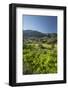 East, Majorca, the Balearic Islands, Spain-Rainer Mirau-Framed Photographic Print