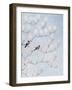 East Meets West-Rebecca Campbell-Framed Giclee Print