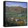 East Orange Village, Vermont, New England, USA-Roy Rainford-Framed Stretched Canvas