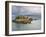 East Quoddy (Head Harbour) Lighthouse, Campobello Island, New Brunswick, Canada, North America-Alan Copson-Framed Photographic Print