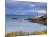 East Quoddy (Head Harbour) Lighthouse, Campobello Island, New Brunswick, Canada, North America-Alan Copson-Mounted Photographic Print