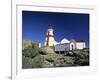 East Quoddy Head Lighthouse, Campobello Island, New Brunswick, Canada-Walter Bibikow-Framed Photographic Print