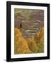 East River Gothic Valley-Don Paulson-Framed Giclee Print