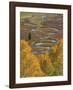 East River Gothic Valley-Don Paulson-Framed Giclee Print