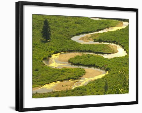 East River near Crested Butte, Colorado, USA-Julie Eggers-Framed Photographic Print