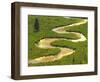 East River near Crested Butte, Colorado, USA-Julie Eggers-Framed Photographic Print