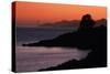 East Shore Sunset, San Francisco Bay-Vincent James-Stretched Canvas
