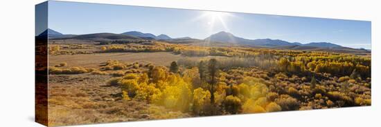 East Walker Creek Drainage, Conway Summit, California-Michael Qualls-Stretched Canvas