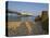 Eastbourne Pier, Beach and Groynes, Eastbourne, East Sussex, England, Uk-Neale Clarke-Stretched Canvas