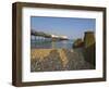 Eastbourne Pier, Beach and Groynes, Eastbourne, East Sussex, England, Uk-Neale Clarke-Framed Photographic Print