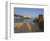 Eastbourne Pier, Beach and Groynes, Eastbourne, East Sussex, England, Uk-Neale Clarke-Framed Photographic Print