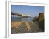 Eastbourne Pier, Beach and Groynes, Eastbourne, East Sussex, England, Uk-Neale Clarke-Framed Photographic Print