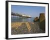 Eastbourne Pier, Beach and Groynes, Eastbourne, East Sussex, England, Uk-Neale Clarke-Framed Photographic Print