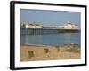 Eastbourne Pier, Beach and Groynes, Eastbourne, East Sussex, England, United Kingdom, Europe-Neale Clarke-Framed Photographic Print