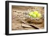 Easter Basket with Easter Eggs on Wooden Background.-ZoomTeam-Framed Photographic Print