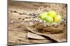 Easter Basket with Easter Eggs on Wooden Background.-ZoomTeam-Mounted Photographic Print