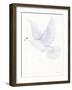 Easter Blessing Dove II-Kathleen Parr McKenna-Framed Art Print