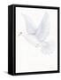 Easter Blessing Dove II-Kathleen Parr McKenna-Framed Stretched Canvas