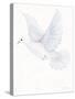 Easter Blessing Dove II-Kathleen Parr McKenna-Stretched Canvas